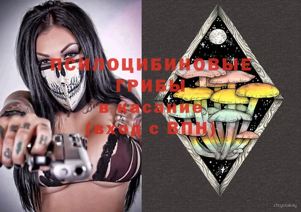 a pvp Горняк