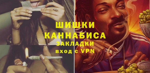 твердый Горнозаводск