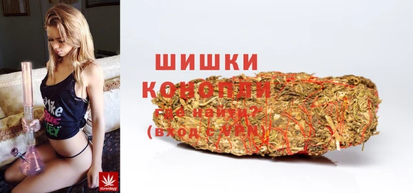 твердый Гусь-Хрустальный