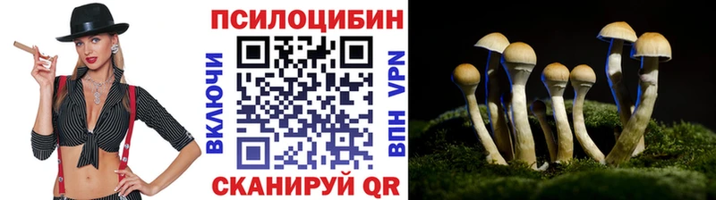 kraken ССЫЛКА  Туапсе  Галлюциногенные грибы Psilocybe 